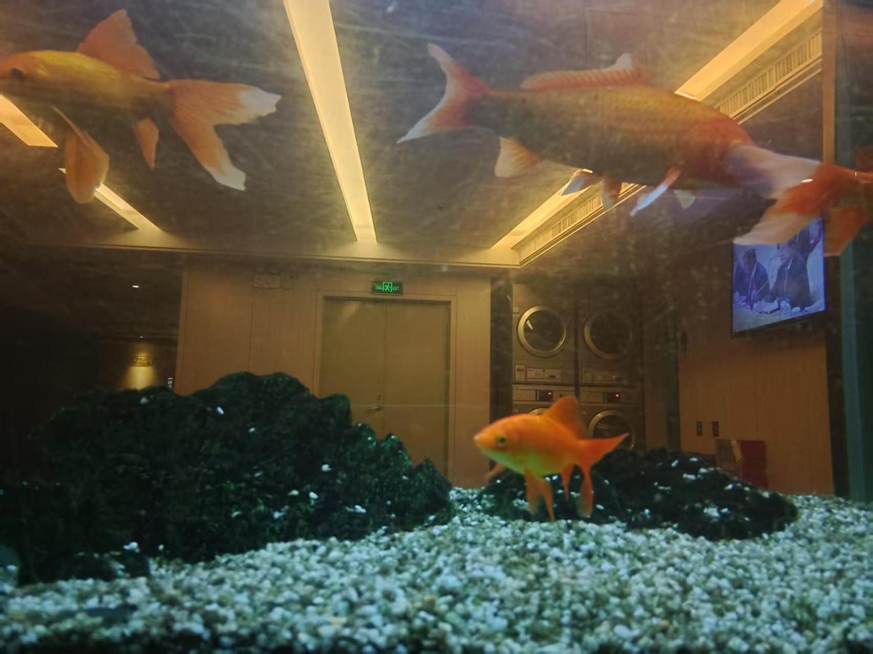 Paco Hotel Tianhe Coach Terminal Metro Satation Guangzhou-Free Shuttle Bus For Canton Fair Dış mekan fotoğraf